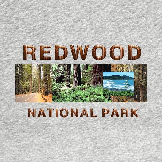 Redwood National Park by teepossible